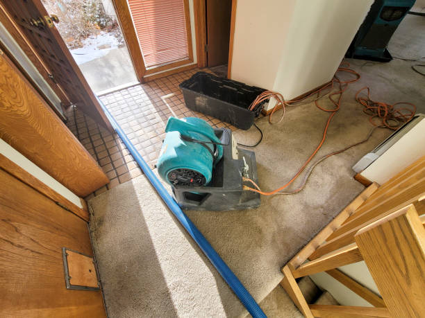 Best 24/7 water damage repair  in Bethesda, OH