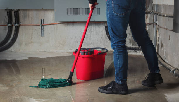 Best 24-hour water damage restoration  in Bethesda, OH