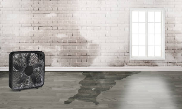 Best Water damage cleanup near me  in Bethesda, OH
