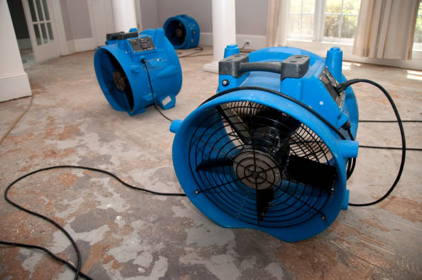 Best Mold removal after water damage  in Bethesda, OH