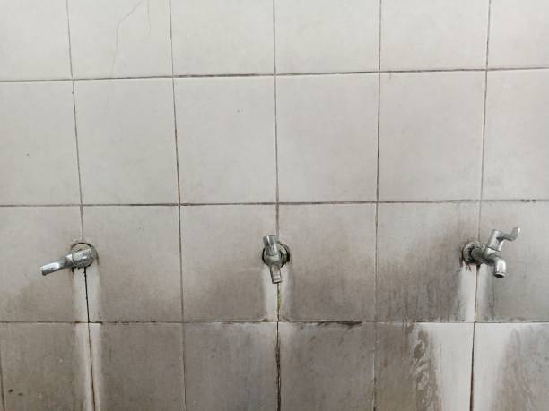 Best Flood damage cleanup  in Bethesda, OH