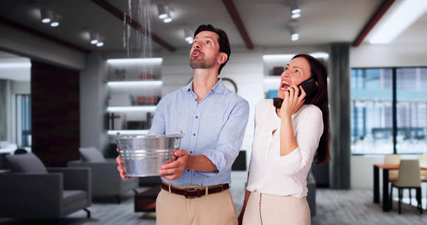 Best Water damage contractors near me  in Bethesda, OH
